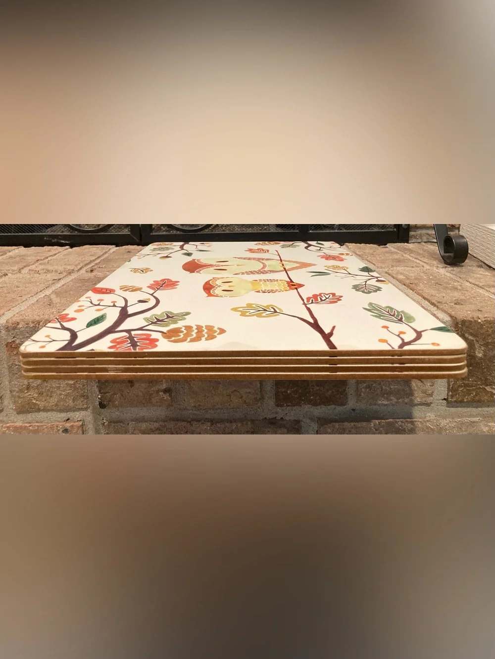 Owl & Fall Theme 5Mm Cork-Back Board Placemats